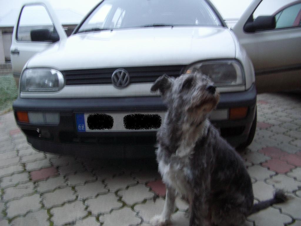 IMGP5070.JPG