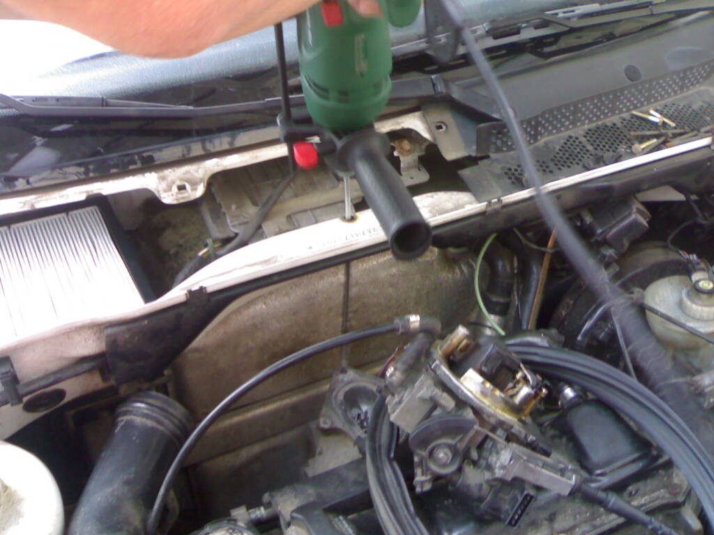 10082007281.jpg
